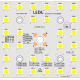 NEO-Q-28L5050-76x76-SL-5K-EF_PALLET(4)