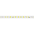 NEO-L-37LED-MIX-S2-SEED