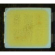 SP301-MKW-XD0F0F53