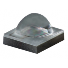 XBDROY-00-0000-000000M01