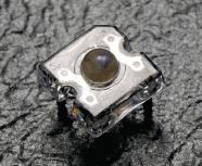 CP41B-BFS-CF0H0354